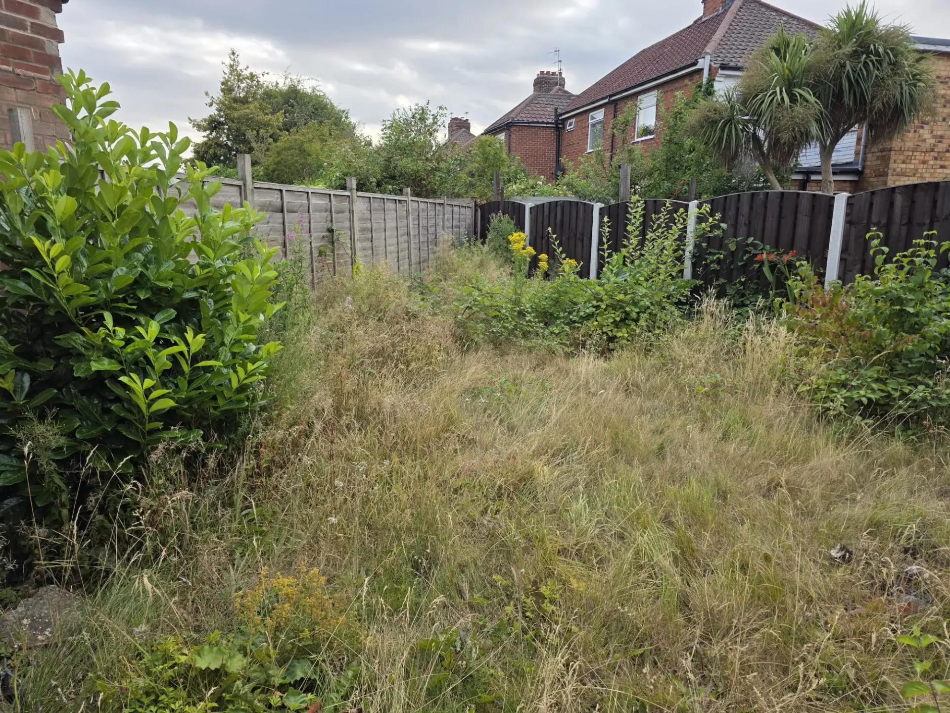 Overgrown residential garden prior to groundworks and landscaping in York
